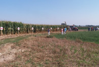 Zdjęcie przedstawia pokaz zbioru kukurydzy na kiszonkę
