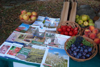 Zdjęcie przedstawia stoisko ŁODR z ulotkami, gazetami i owocami 