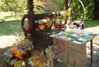Zdjęcie przedstawia stoisko ŁODR z dyniami, koldbami kukurydzy ora książki i rękodzieła
